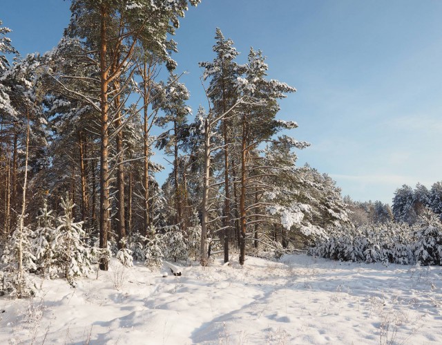 Деревня Девкино. Боровичский район Новгородской области. Фотоподборка.