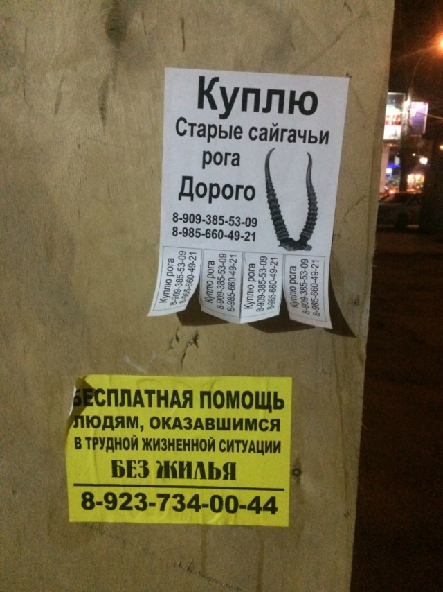 Подборка интересных и веселых картинок