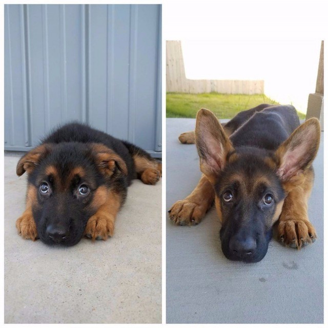 Картинок разных