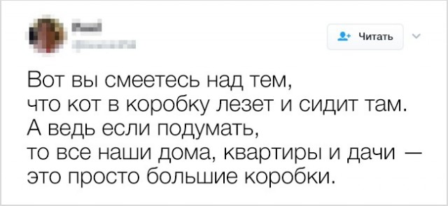 20 твитов от людей, у которых накопились вопросы к этой странной жизни
