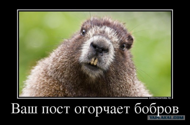 Бестолковые свидания