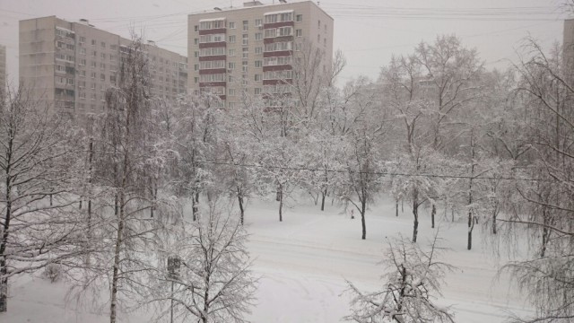 А что у вас за окном?