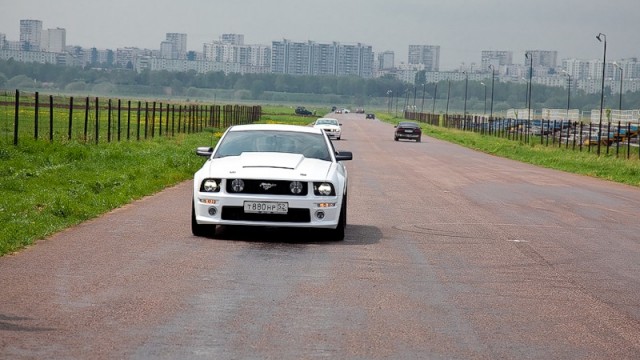 ДР mustang club