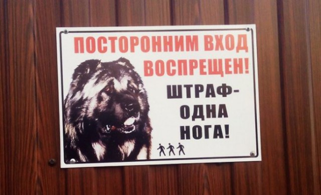 Надписи от тех, кто точно знает, как приковать наше внимание