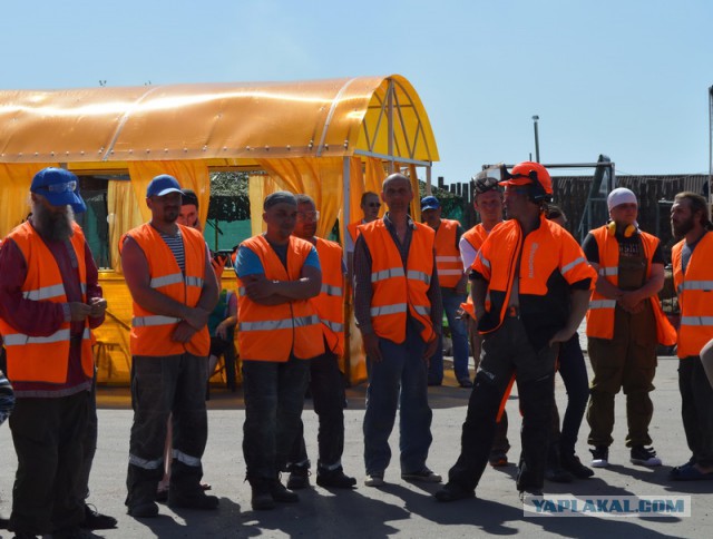 Битва бензопил. «Делай, как я!»