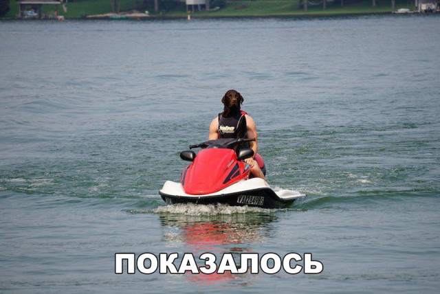 Нестандартный юмор