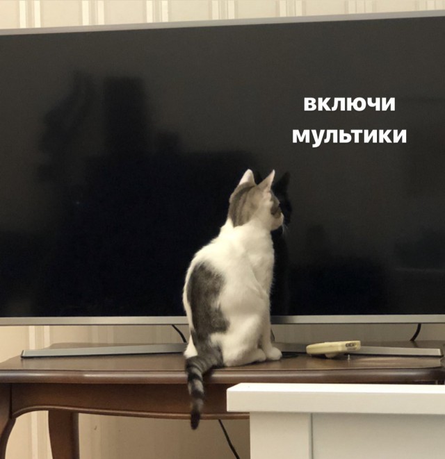 Немного странного юмора на вечер