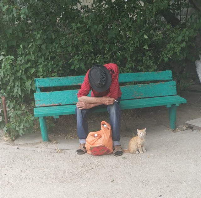 Скотсети и прочие интернеты 08.11.18
