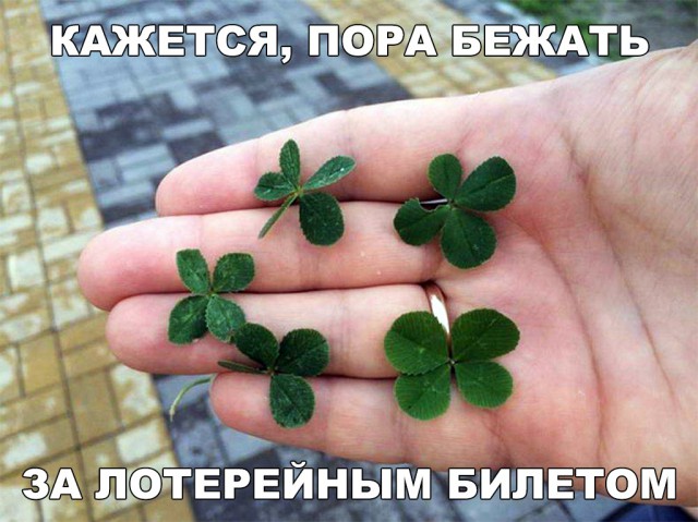 Нестандартный юмор