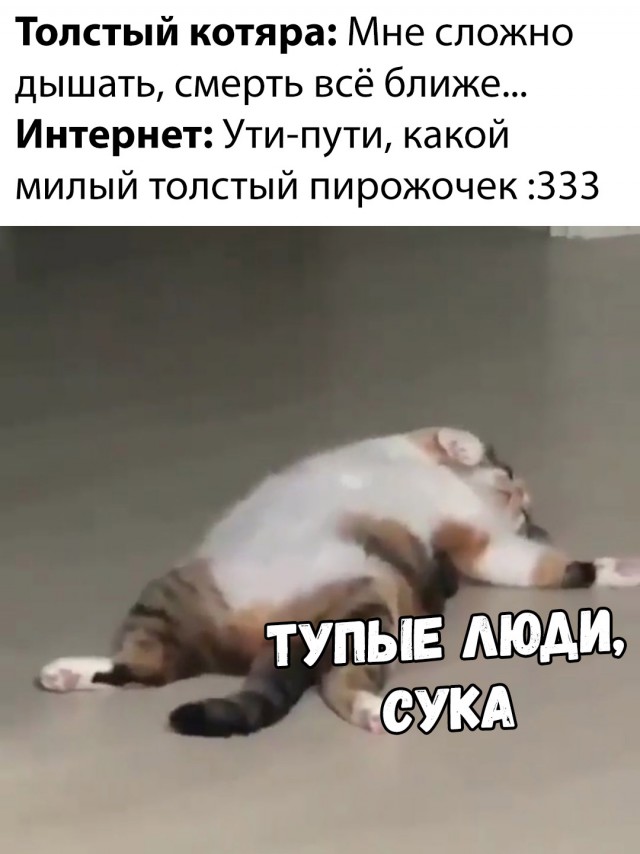 Нестандартный юмор