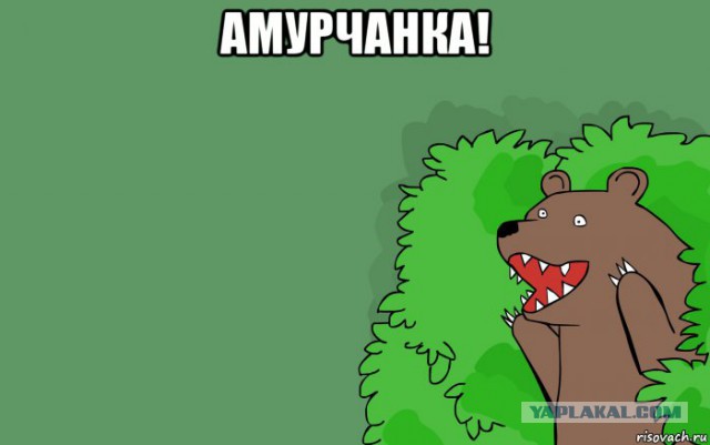 Что характерно, обнаглели!