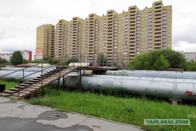 Укус клеща: от "хорошей" смерти к "плохому" параличу