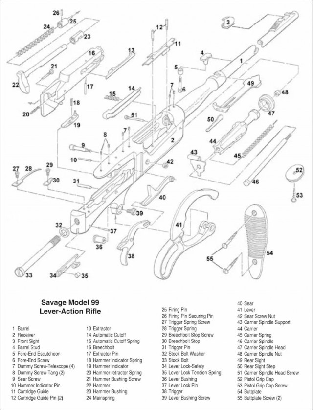 Рычажная винтовка не по канону: Savage 99