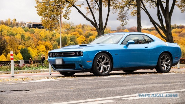 Американцы - 14. Коллекция Ронни Рэйнса. Красивых автофото пост