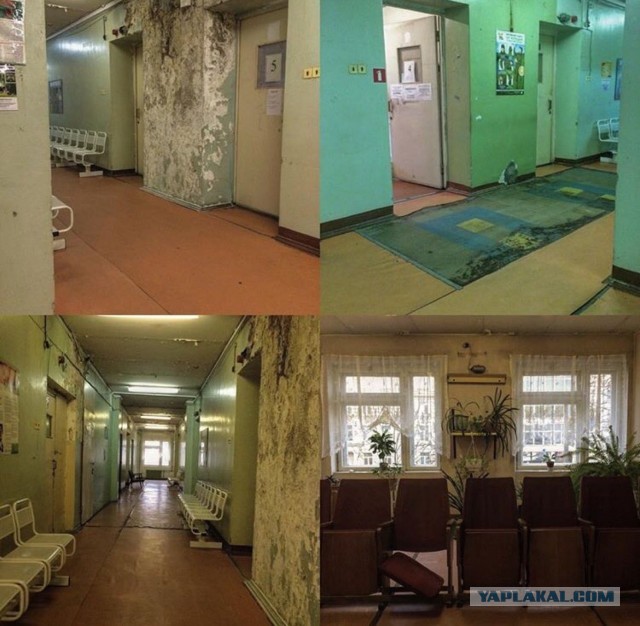 Ещё три побега из карантина в Санкт Петербурге