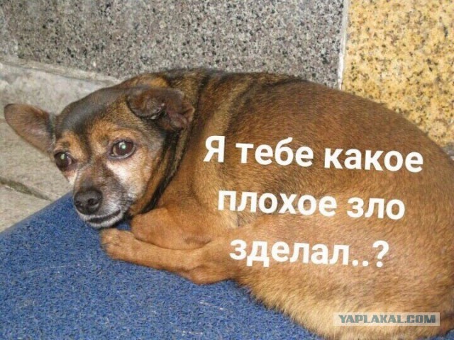 Накипело