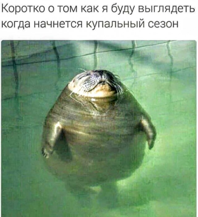 Немного картинок для настроения 29.05.20