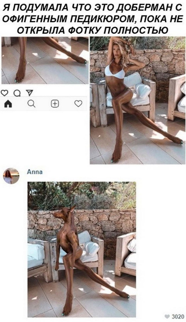 Подборка баянов