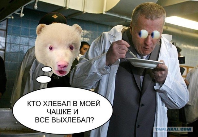 Жириновский