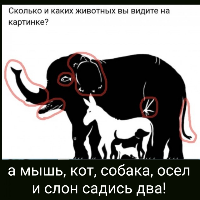 Юмор в картинках 7.10.20