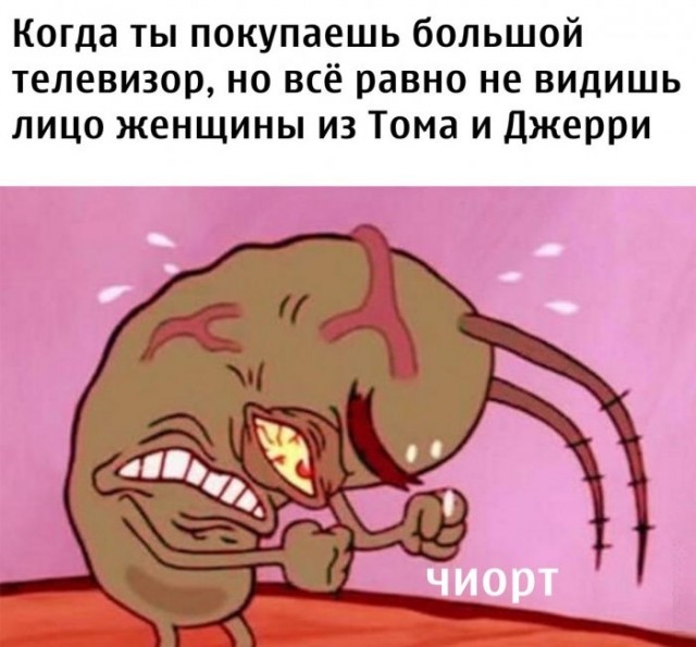 Немного картинок для настроения 03.11.20