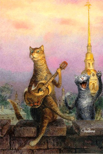 И опять говорящий кот (no no no cat)