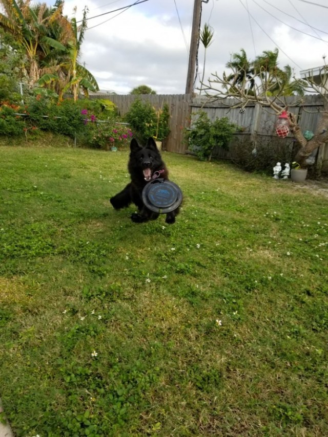 Картинки и мемы для настроения 03.11.2021
