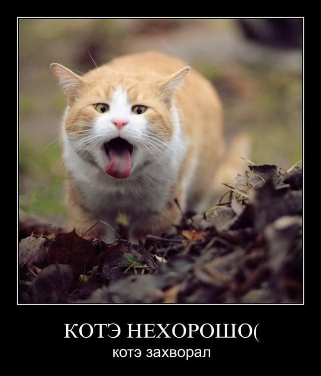 Старинные демотиваторы - 01 (2010)