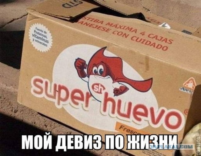 Разные картинки для настроения на любой вкус - 6