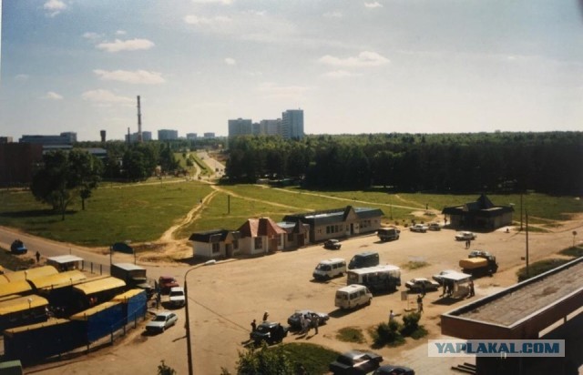 Народный сход против бездействия властей и уничтожения Троицкого леса в Новой Москве