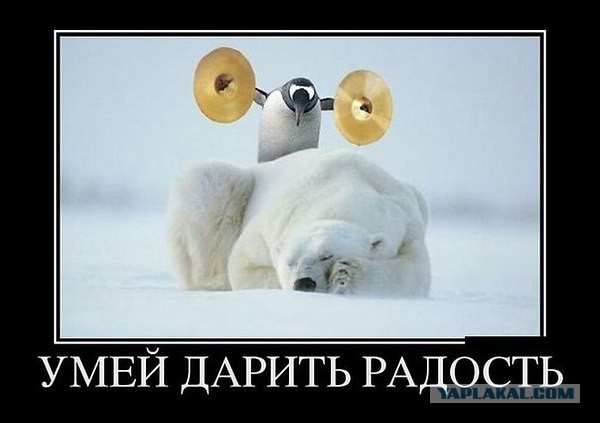 Пятница. Вечер. Картинки всякие... #4