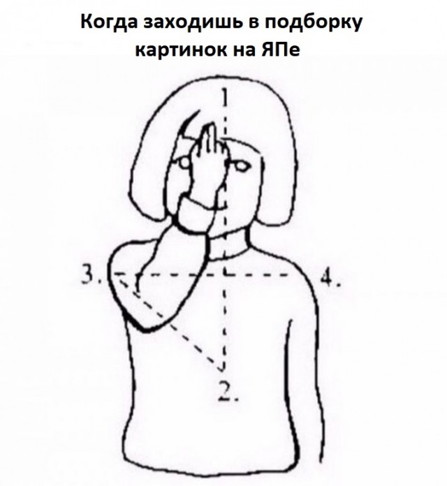 И я туда же!