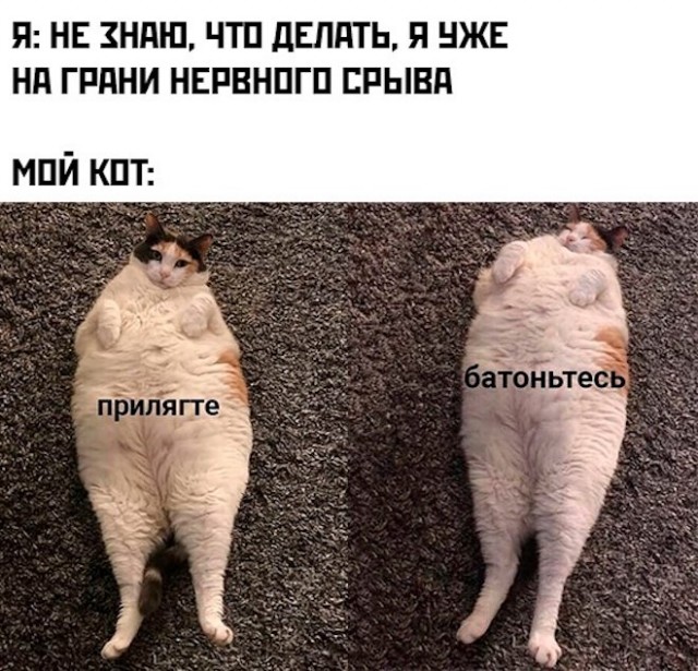 Немного картинок для настроения - 129