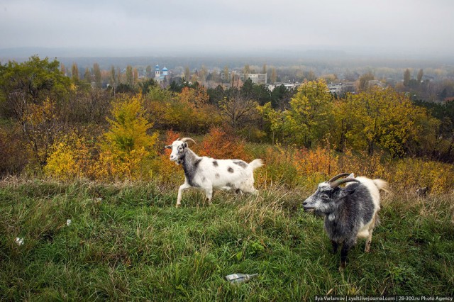 Приднестровье