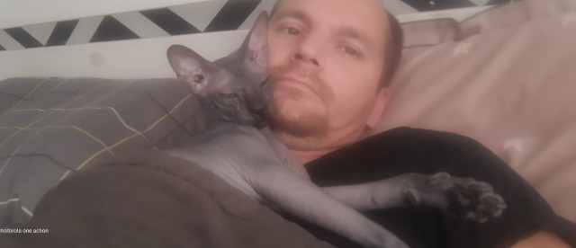 А как вы спите с котиком?