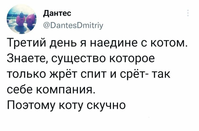 Весёлый полтишок  26.10.22