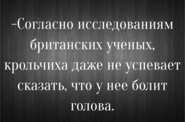 Четверг (Почти пятница). И немного слегка пошлых картинок с надписями и без 16+ (03.11)