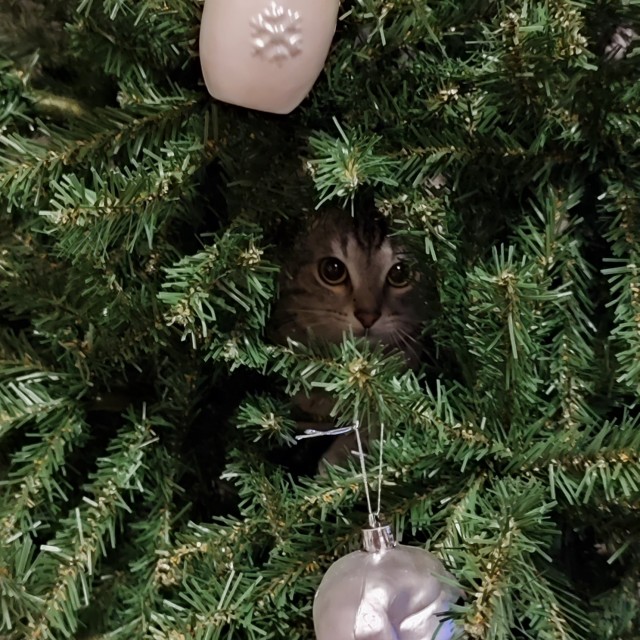 Новогодняя игрушка