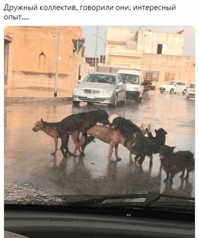 Не смешные глупые картинки