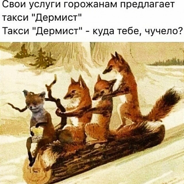 Картинки и мемы, всем хороших выходных