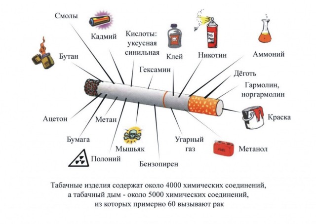 Врач рассказала о воздействии современной сигареты на организм человека
