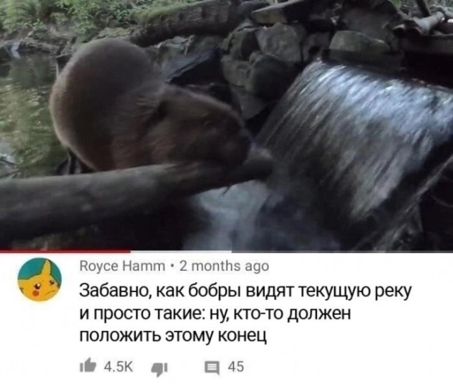 Так себе картинки 20.06.23
