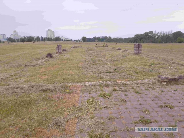 Беларусь. Июнь 2023