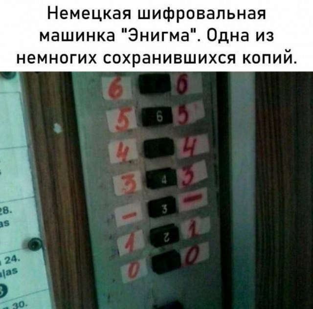 Тлидцать тли от 6 февраля