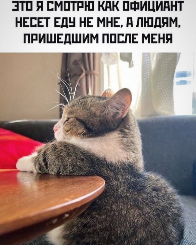 Забавные картинки, шутки из этих ваших интернетов