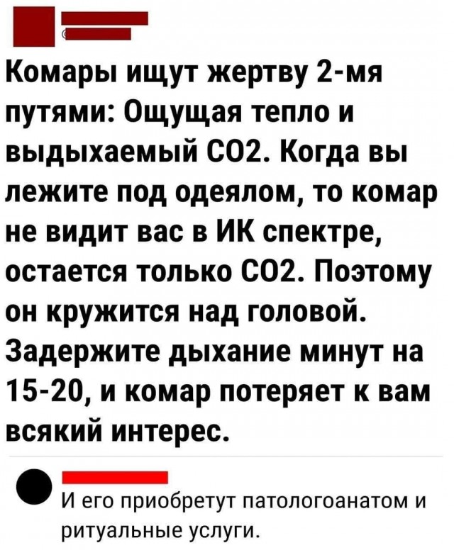 Нуштош 26.06.2024