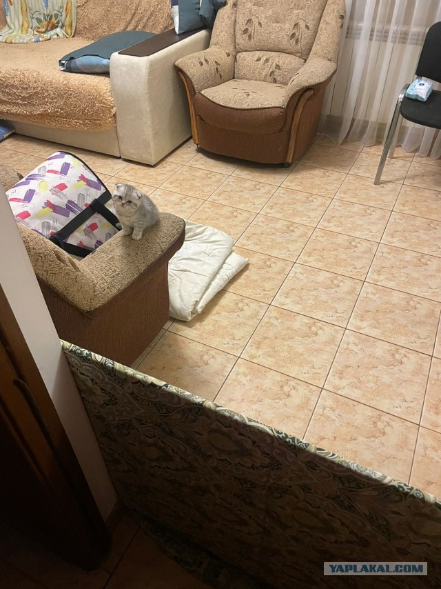 Пополнение в семье!