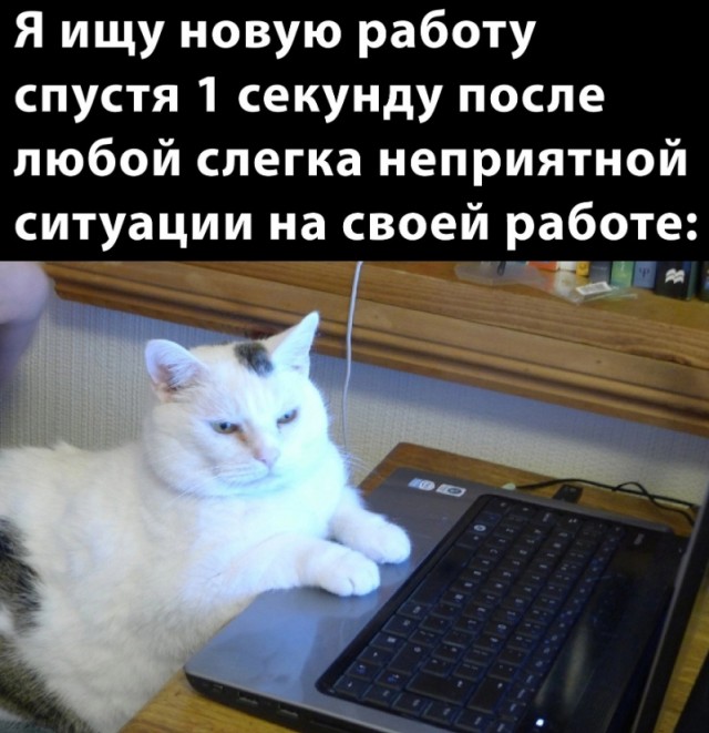 Веселые картинки к пятнице (26.07)