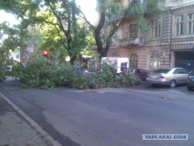 Ураган в Одессе