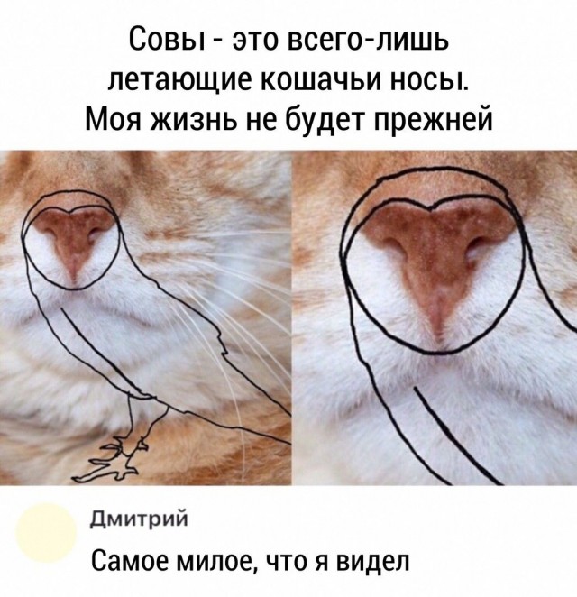 Вот и я попал. Дружба или любовь, поглядим